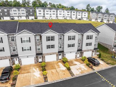 2020 Mountain Ash