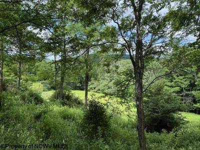 Lot 36,38,49 Hawthorne Valley