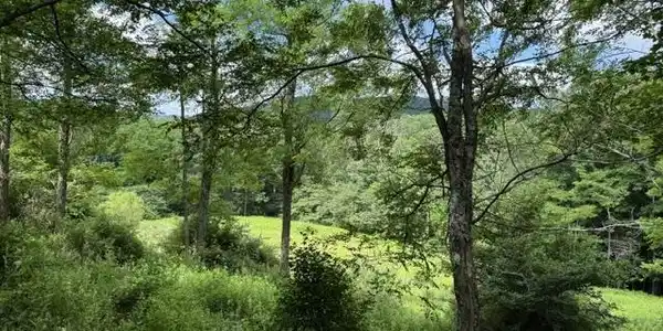 Lot 36,38,49 Hawthorne Valley