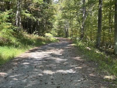 Lot 1 Possum Hollow