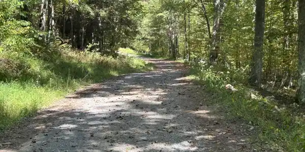Lot 1 Possum Hollow