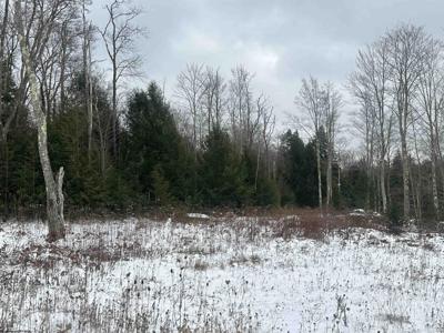 Lot 85 Gondola