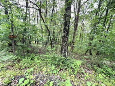 Lot 14 Ash Court