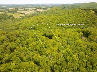 Lot 15 Little Mountain Road