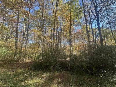 Lot 109 Redwood