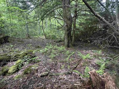 Lot 7 Tuscan Ridge