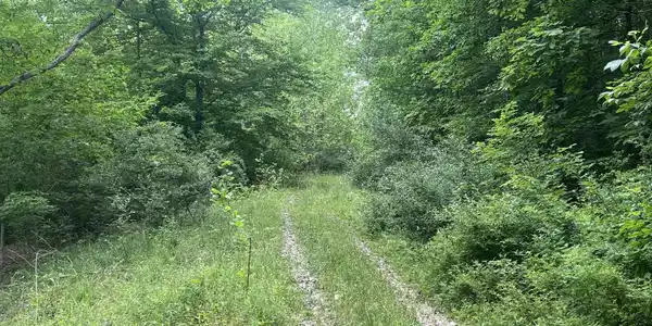 TBD Keiths Fork