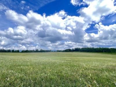 Tract I Mallow Lake