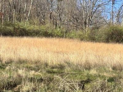 TBD Planing Mill