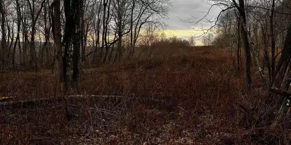 TBD Crab Orchard