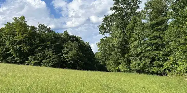 5400 Brandonville