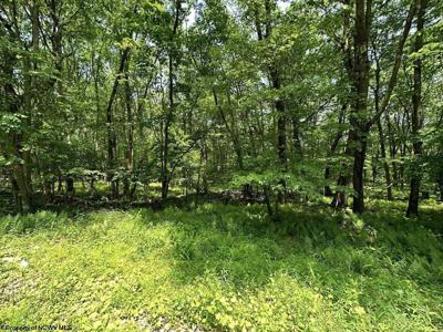 Lot 94 East Alpine