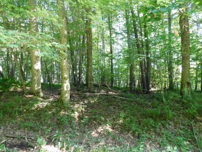 Lot 9 Cherry Wood Lane