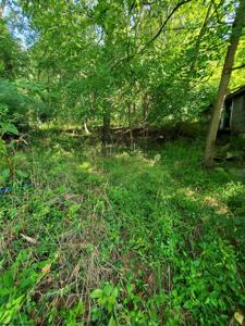 TBD Hendricks Hill Road