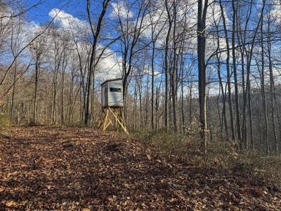 TBD Keller Hill