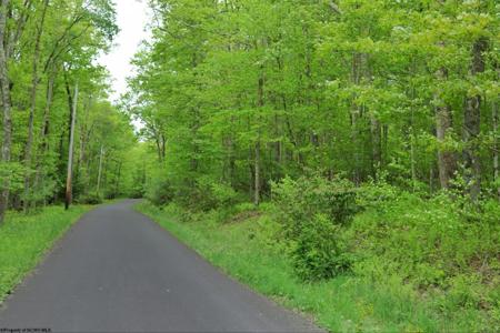118 Redwood