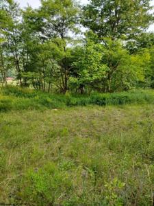 TBD Freeland Road