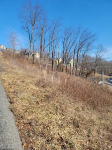 Lot 109 Stone Creek
