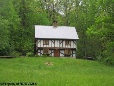 1303 Pheasant Mountain