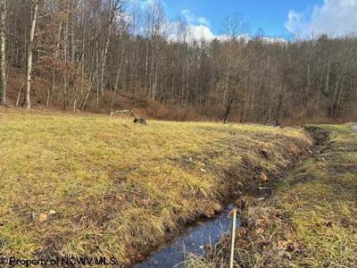 Lot 2 Trail View