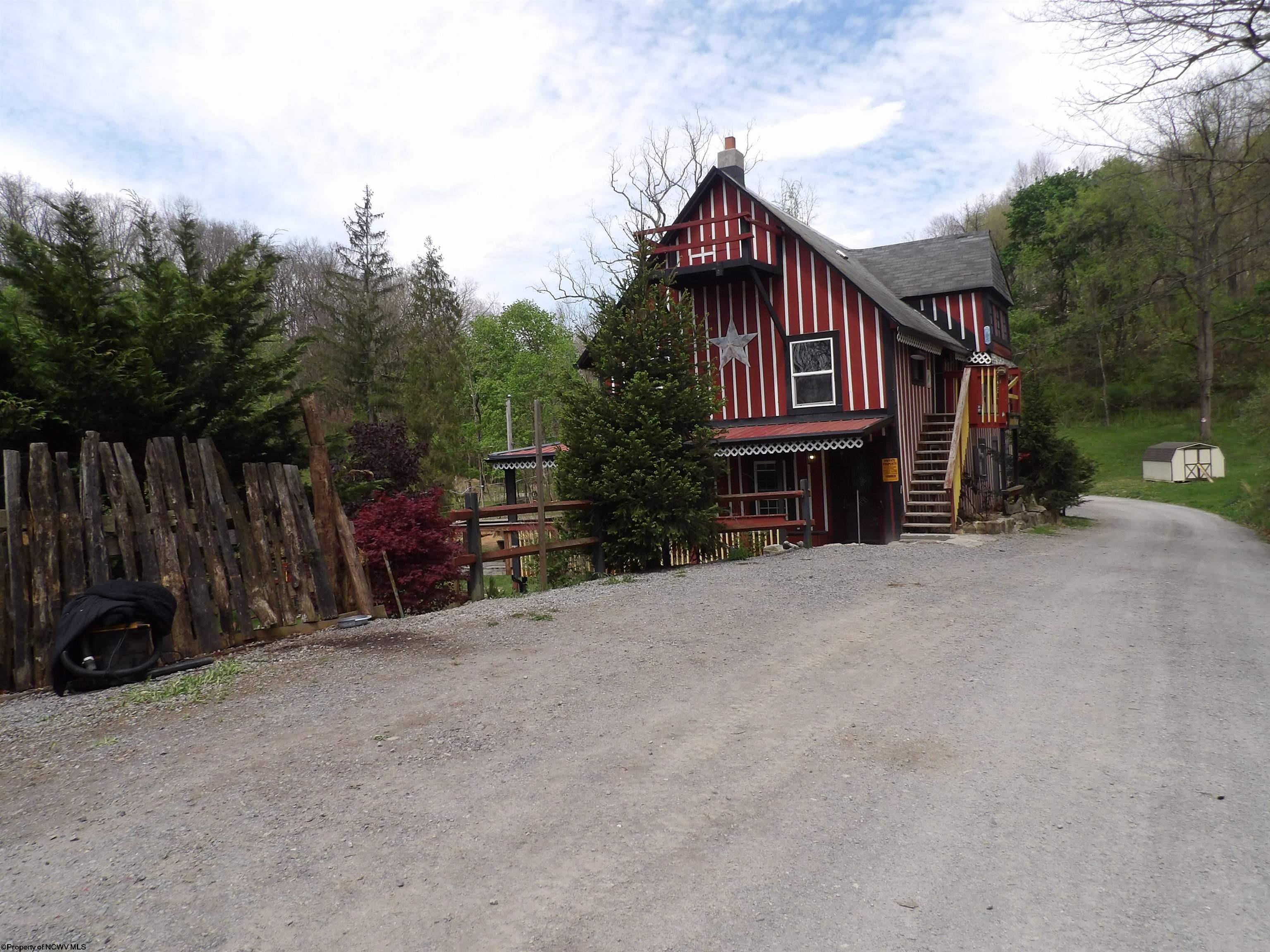 Image 4