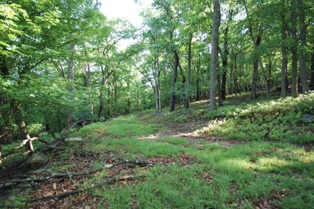 Lot 23 Long Lick Run