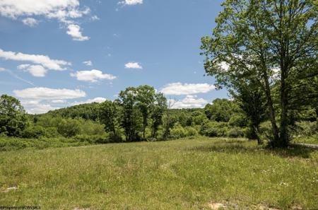 Lot 2 Lake Island