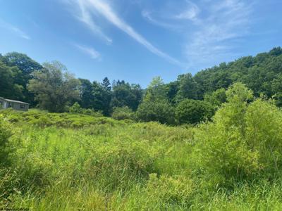 TBD Grass Lick Run