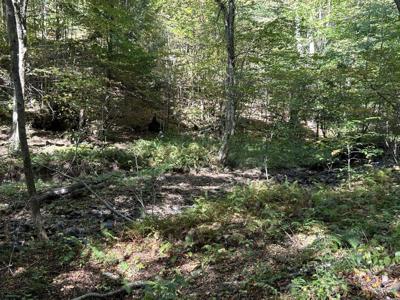 Lot 2 Possum Hollow