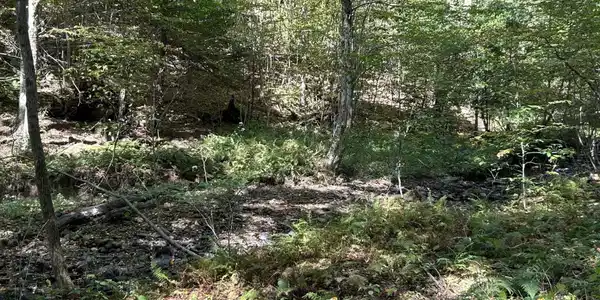 Lot 2 Possum Hollow