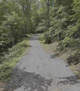 tbd Pine Grove
