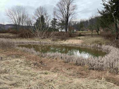 LOT 41 Hayfield