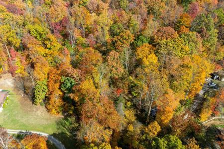 117 Birch Hollow Road