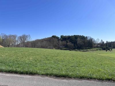 Lot 36 Hayfield