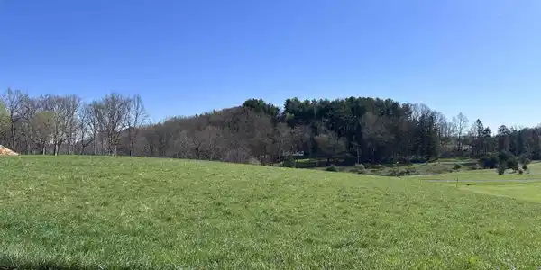 Lot 36 Hayfield