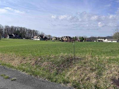 Lot 37 Hayfield