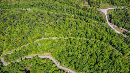 Lot 17 Trailwoods Circle