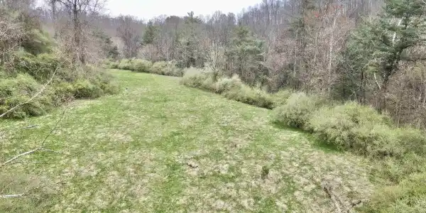TBD Cowskin Fork