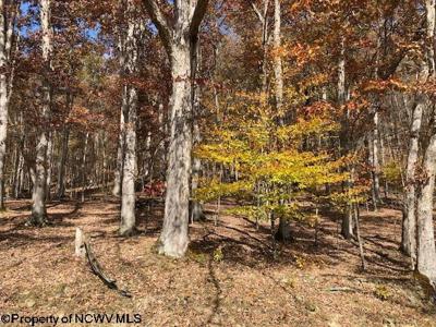TBD Holly Meadows