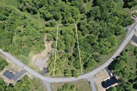 Lot 64 Venice