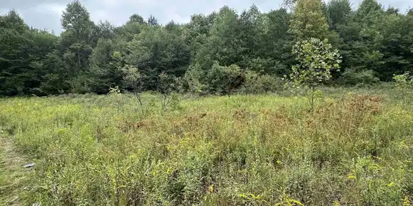 LOT E Jettsville