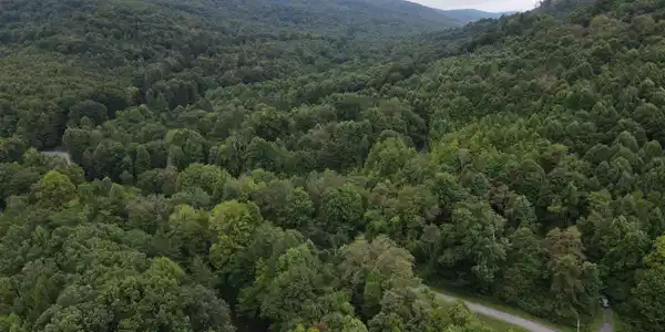 LOT C Jettsville