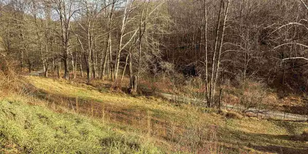 Lot 1 River Run