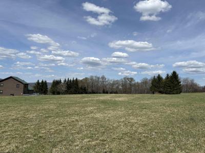 Lot 2 Pointy Knob