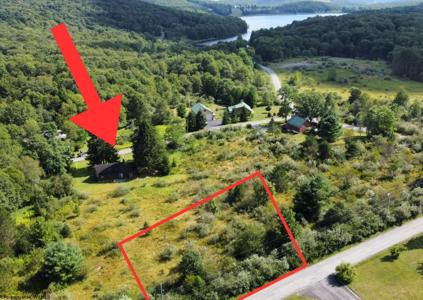 Lot 52 Bobolink