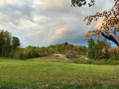 Lot 14 Island