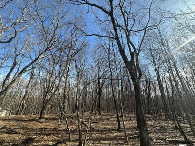 Lot 122 Woodbine Drive