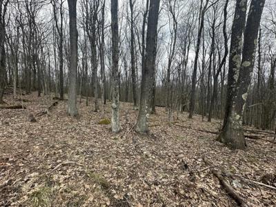Lot 108 & 109 Lakeview