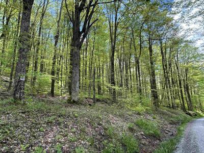 Lot 147 Cabin Mountain