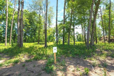 Lot 14 Bowers